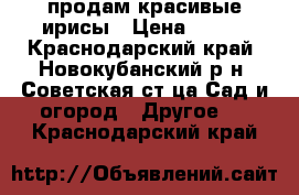 продам красивые ирисы › Цена ­ 100 - Краснодарский край, Новокубанский р-н, Советская ст-ца Сад и огород » Другое   . Краснодарский край